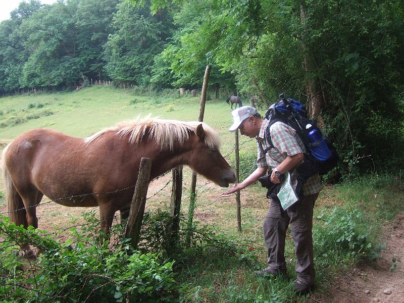 2011-05- (161).JPG - Kleine Zwischenmahlzeit gefällig?